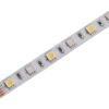 abls12v5050-60rgbw20-30m_avide-led-szalag-12v-12w-rgb-w_4000k_-ip20-30m.jpg Avide LED Ταινία 12V 12W RGB+W(4000K) IP20 30m