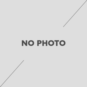 Βενζινοκίνητος Λειαντήρας Μπετού 600mm «Ελικόπτερο»