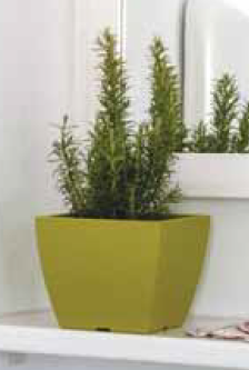 image22602.png Κασπώ LINEA Νο562