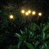 Modee Lighting LED Ηλιακό Φωτιστικό Κήπου GS018 72cm